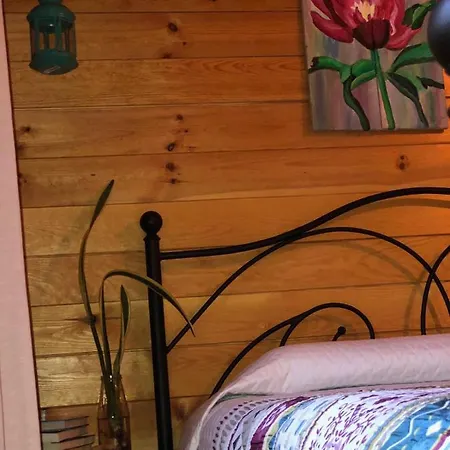 Happy Glamping Cy 샬레 Agios Theodoros